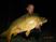 dscn16321.JPG